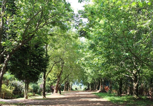 Street view Cabin&Cottage