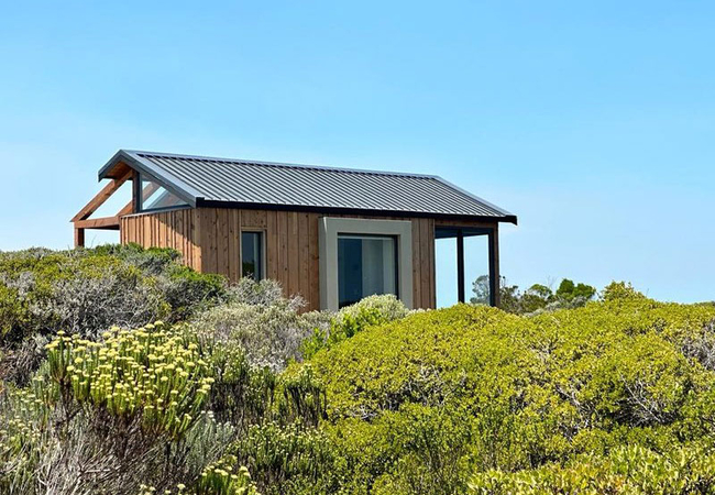 Forest Cabins