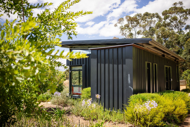 Avocado Cabin