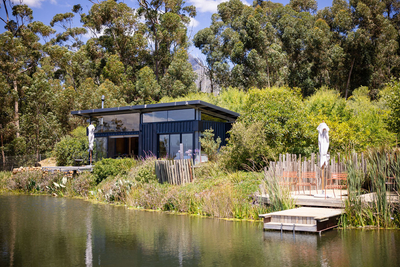 Avocado Cabin