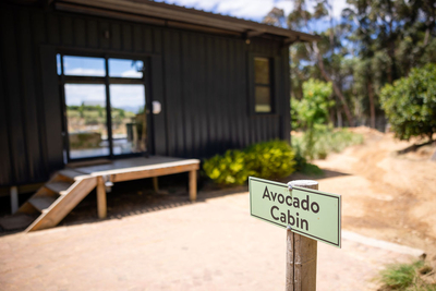 Avocado Cabin
