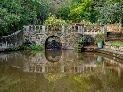 Nature Pool