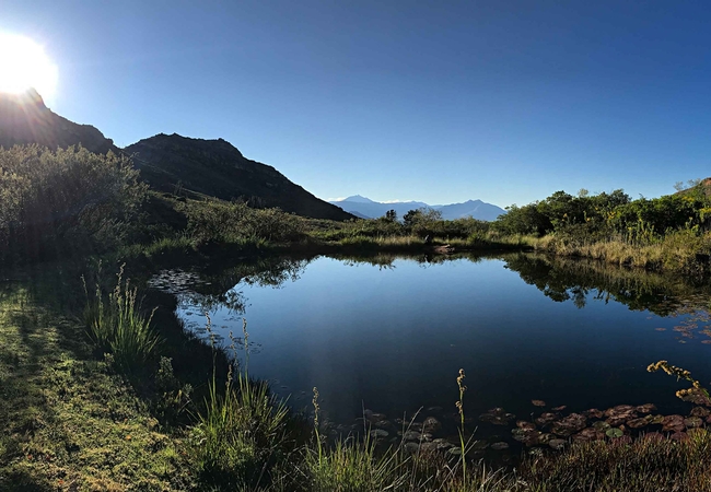 Cape Sugarbird Cabin