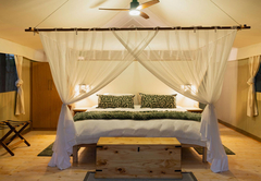 Classic Safari Tent