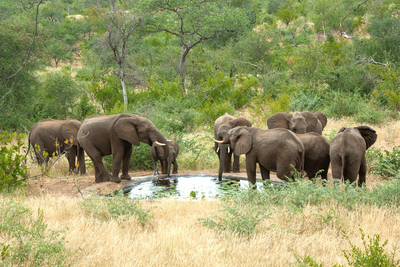 Tulani Boutique Lodge
