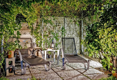 Enclosed Private Garden