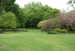 Cedar Garden