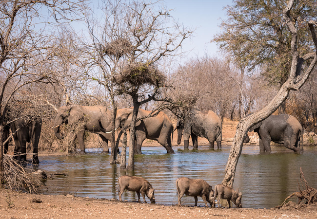 Waterhole at Chacma Bush Camp