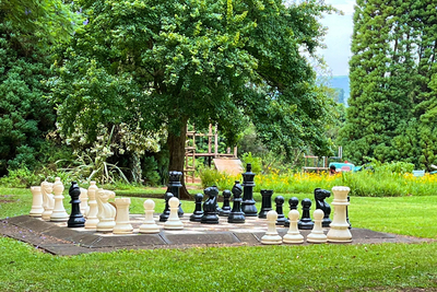 Champagne Valley Resort