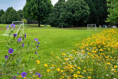 Champagne Valley Resort