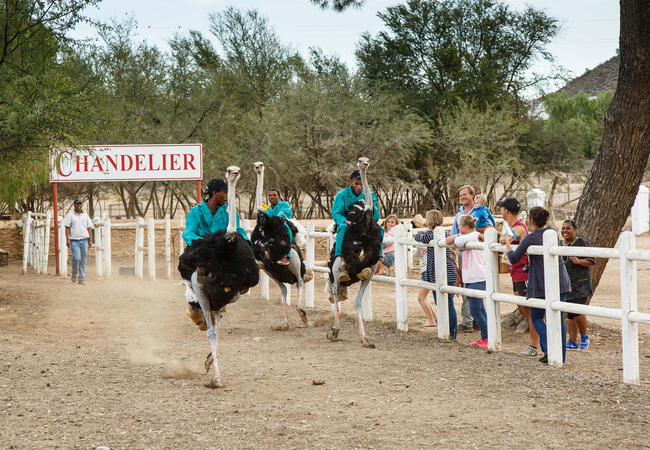 Chandelier Game Lodge