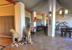 Cheetah Paw Eco Lodge