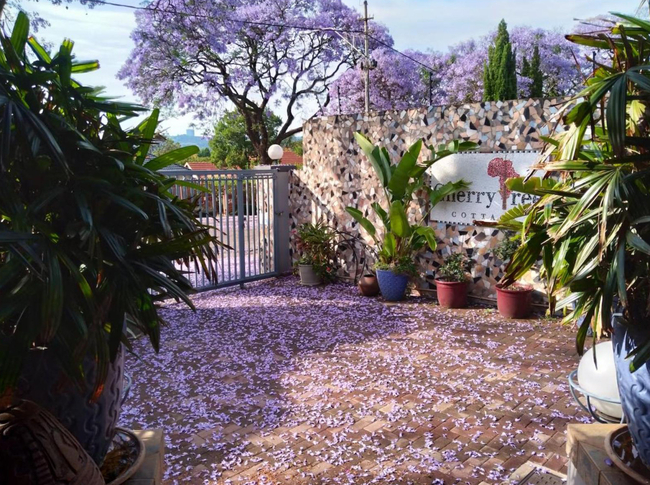 Cherry Tree Cottage Linden