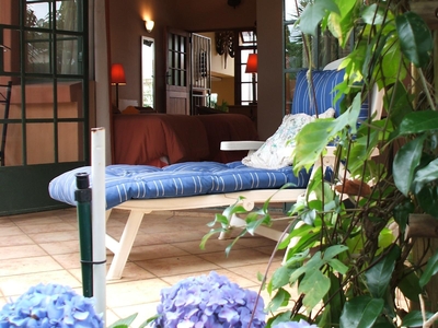 Suite 1 IMVULA (Rain)