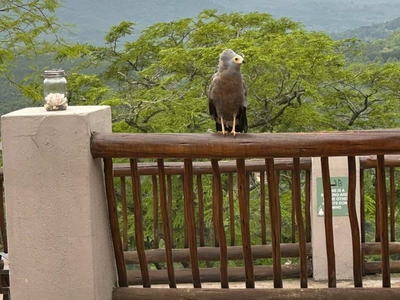 Chestnut Country Lodge