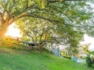 Chestnut Country Lodge