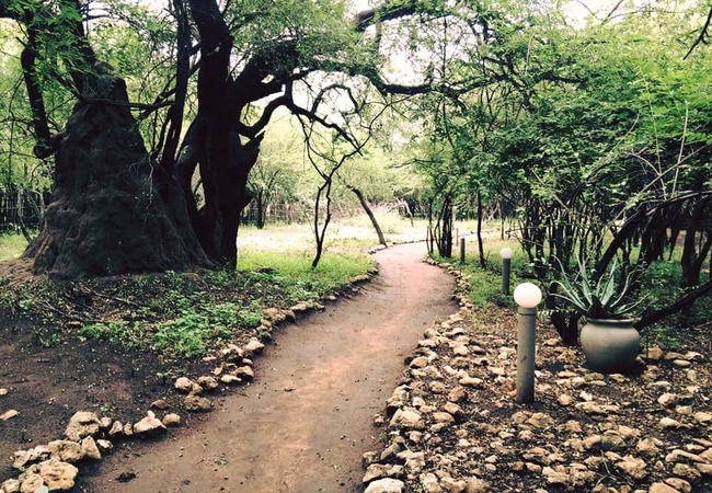 Chinaka Game Lodge