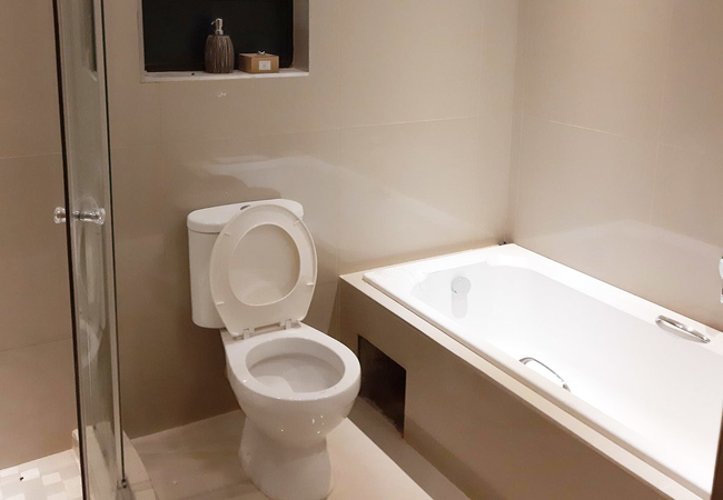 Queen Room (Bath and Shower)