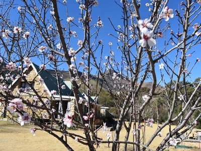 The Clarens Country House