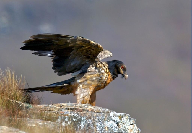 Cleopatra Mountain Farmhouse