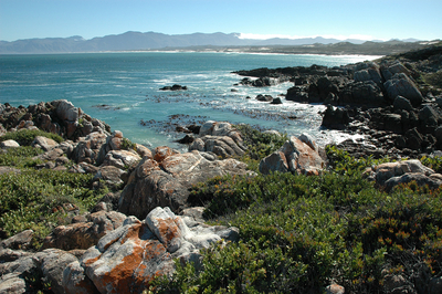Cliff Lodge
