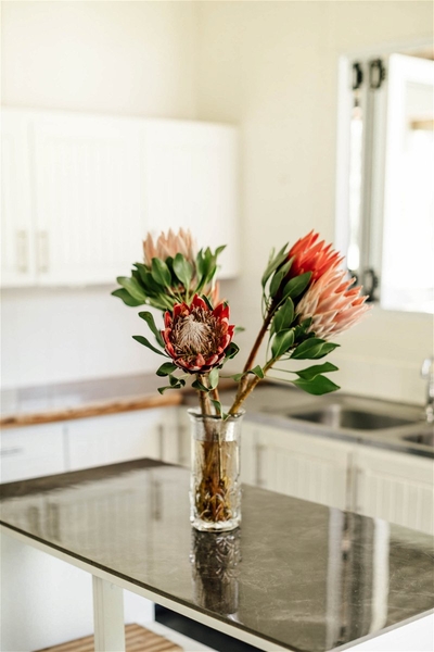 Exclusive Use Holiday Cottage