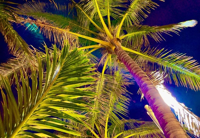 CoCoview Beach House