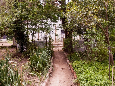 Compass View