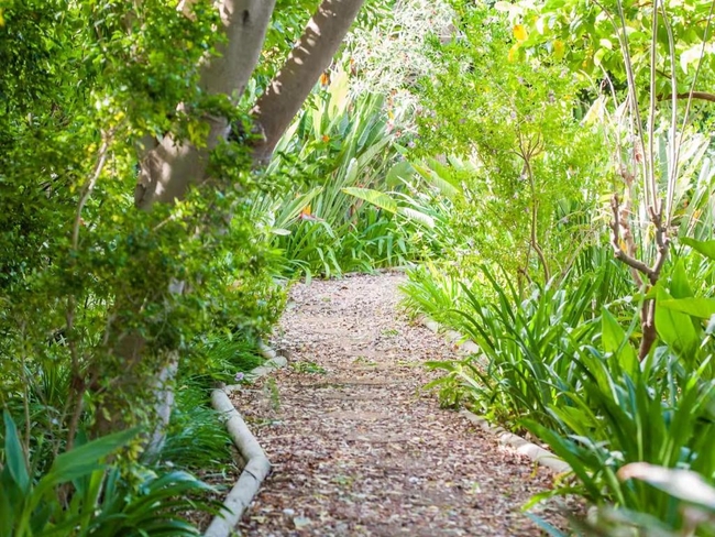 Connie's Cottages Montagu