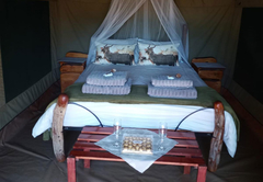 Tented Camp Double