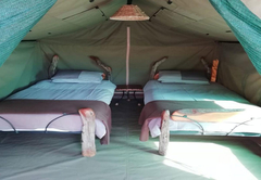 Tented Camp Twin