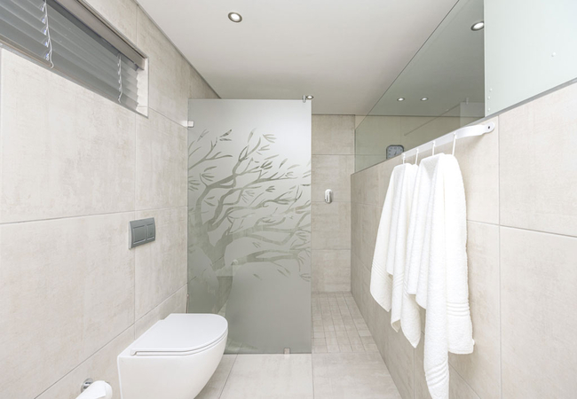 Walk-in shower ensuite