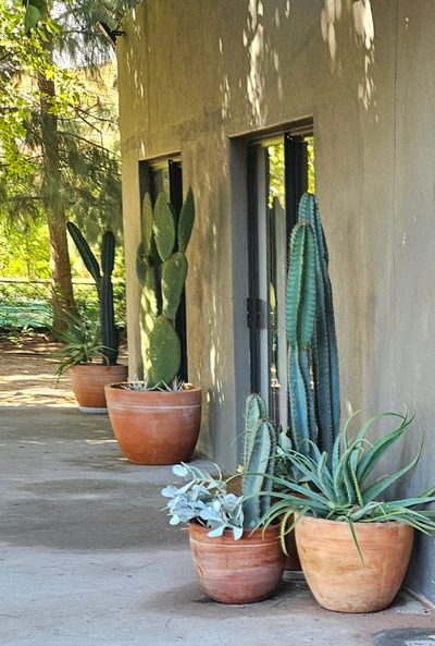 Country Manor House