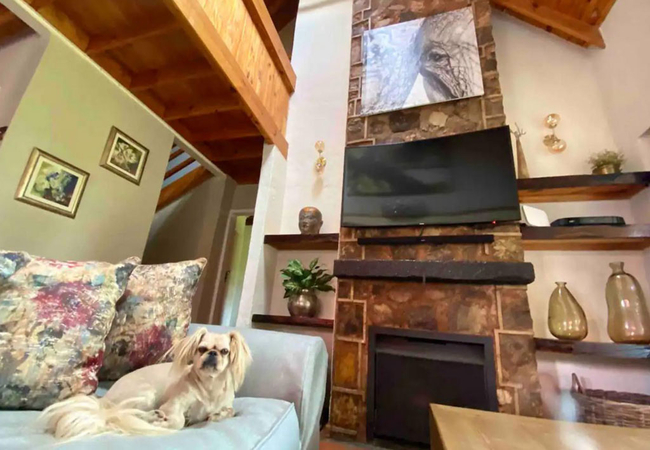 Critchley Stone Villa