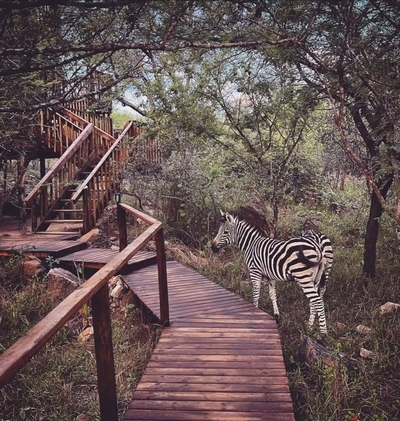 Croc's Nest Bush Lodge
