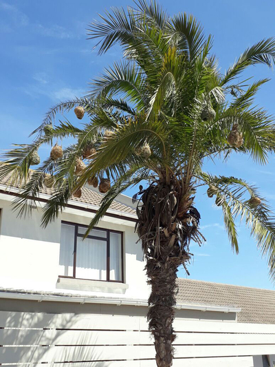 Croeso Guest House