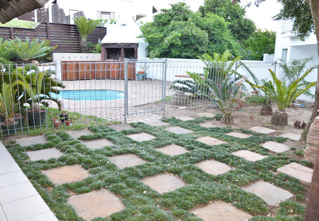 Cycads on Sea Guest House