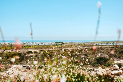 Dagdromer Holiday Home