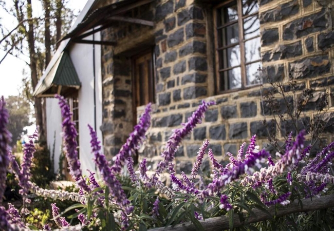 Room 3 - Deluxe Double Room