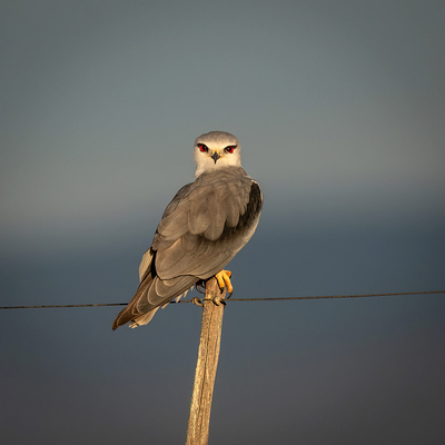 Deluxe Holiday Farmhouse