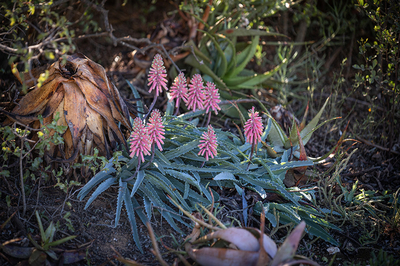 Deluxe Holiday Farmhouse