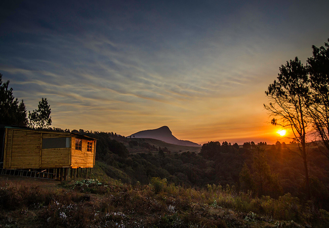 Dargle Forest Lodge