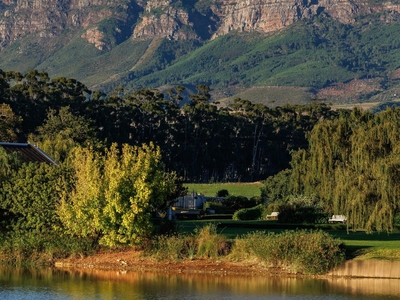 Dawn Mountains Farm