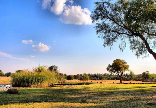 De Kleine Serengeti