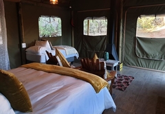 Luxury Safari cabins
