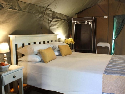 Tents (Frangipani)