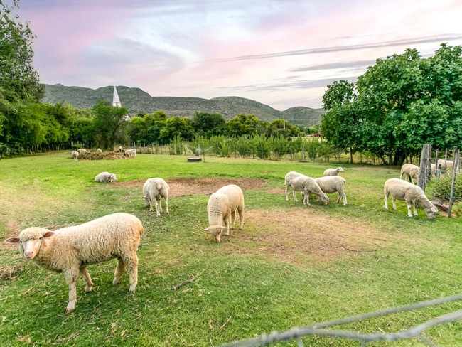 Die Fonteine Country Guesthouse and Glamping