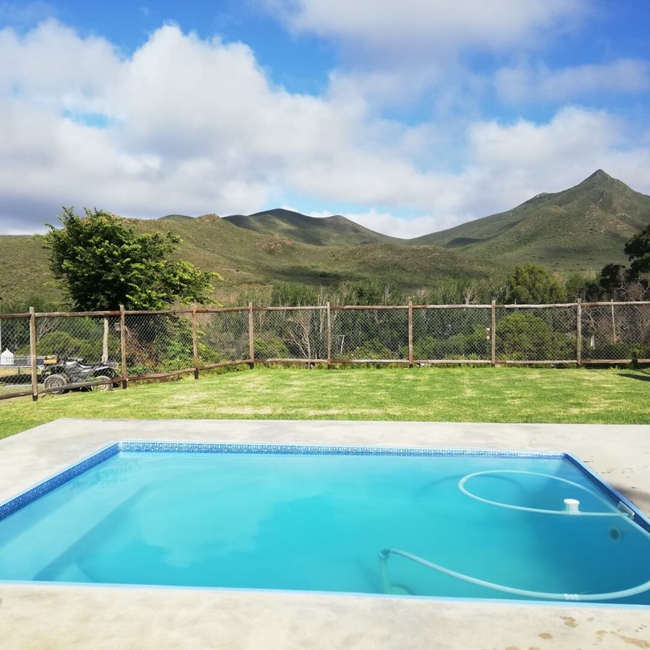 Shared swiming pool