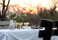 Picnic in the veld