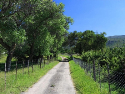 The Farm